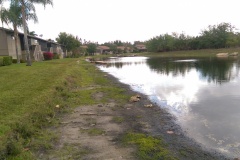 IMAG00576